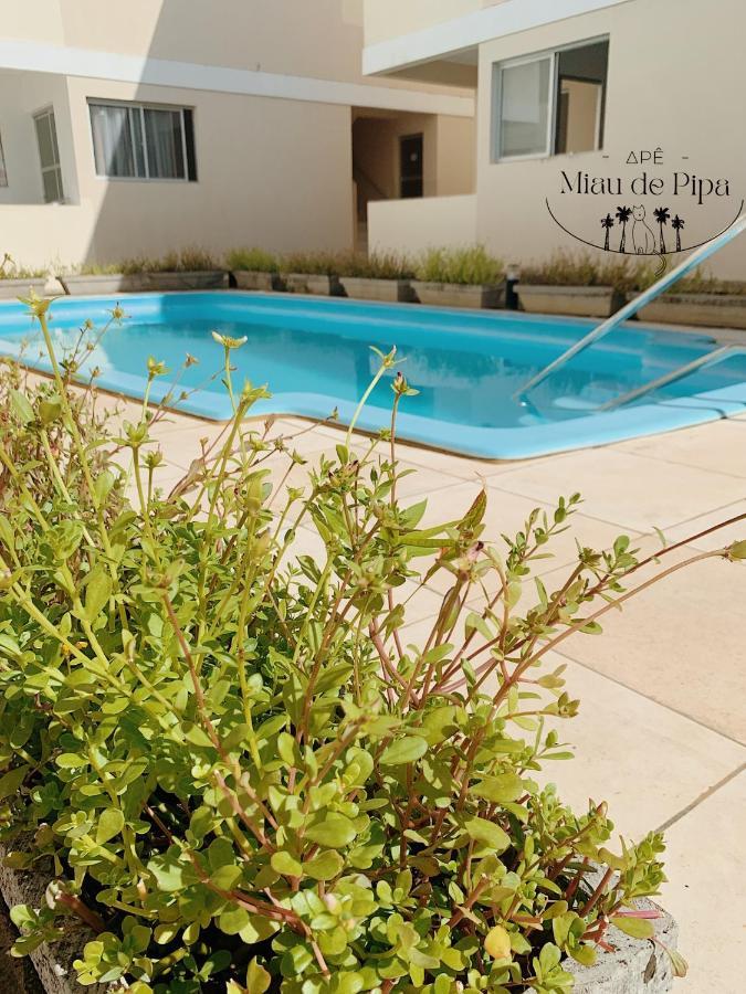 Miau De Pipa Apartment Praia de Pipa Luaran gambar